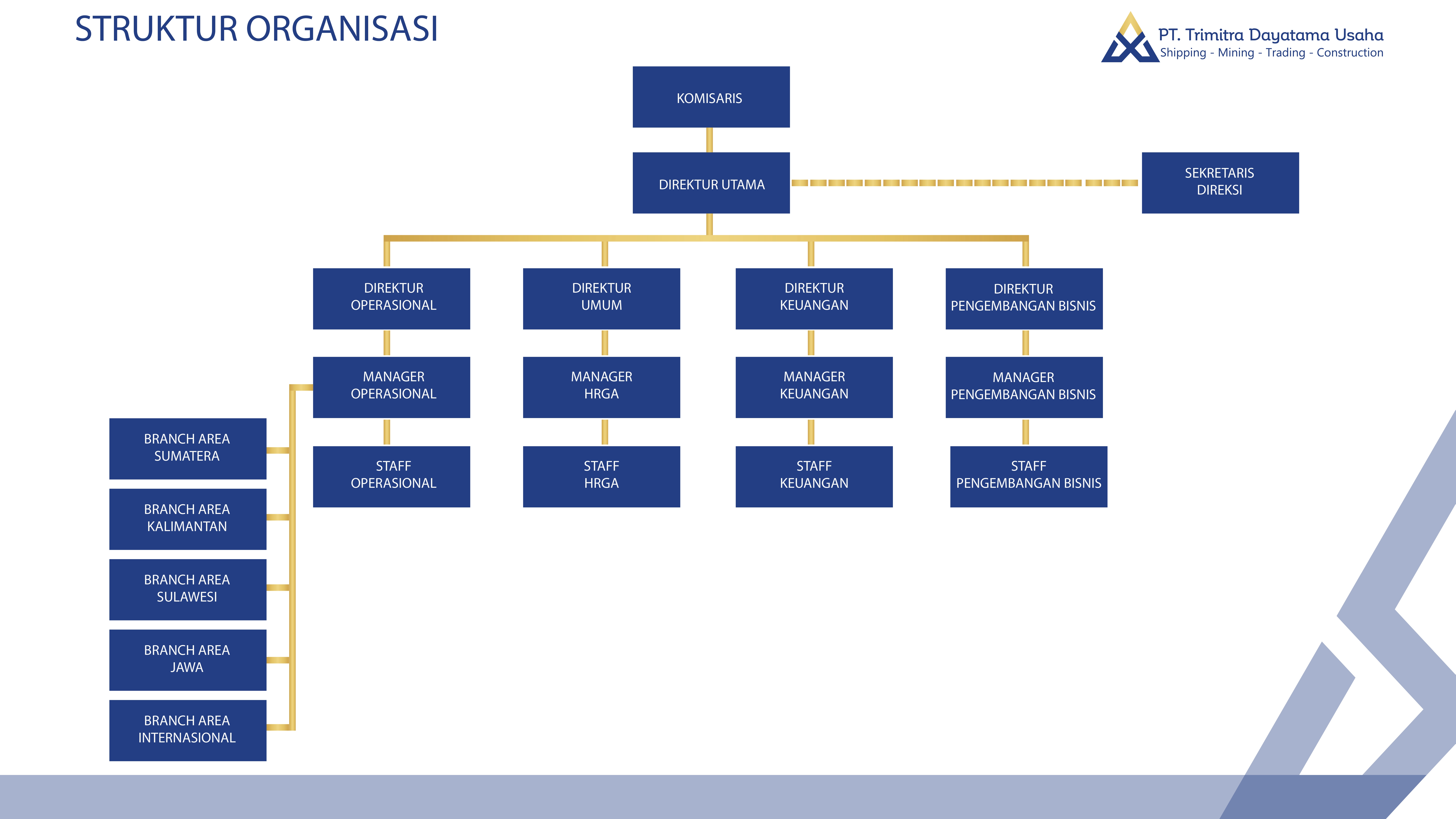 Visual Elegant Organizational Structure